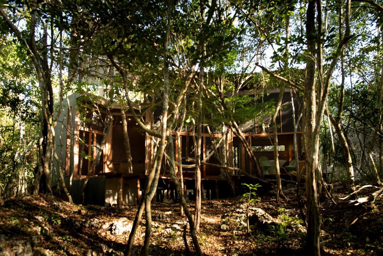 Ojo De Arbol, Boutique Cabin In The Real Jungle Tulum Zewnętrze zdjęcie