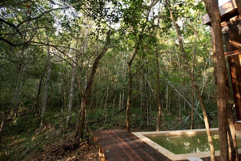 Ojo De Arbol, Boutique Cabin In The Real Jungle Tulum Zewnętrze zdjęcie