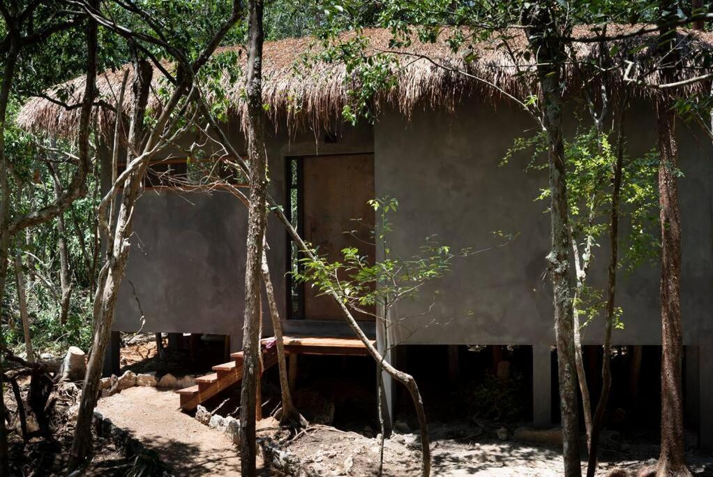 Ojo De Arbol, Boutique Cabin In The Real Jungle Tulum Zewnętrze zdjęcie