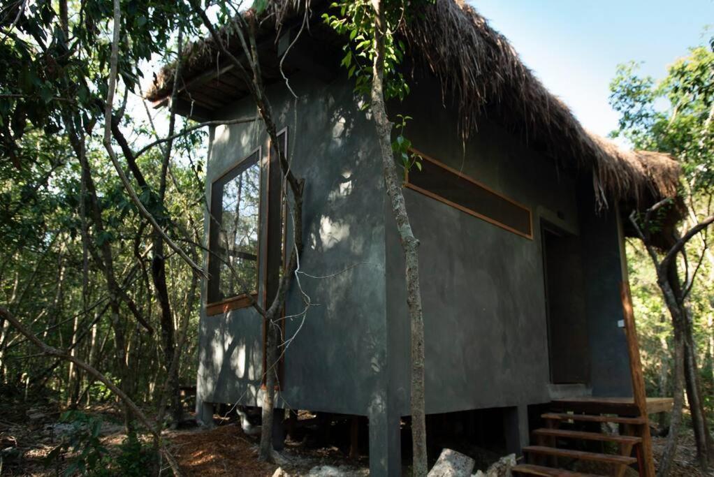 Ojo De Arbol, Boutique Cabin In The Real Jungle Tulum Zewnętrze zdjęcie