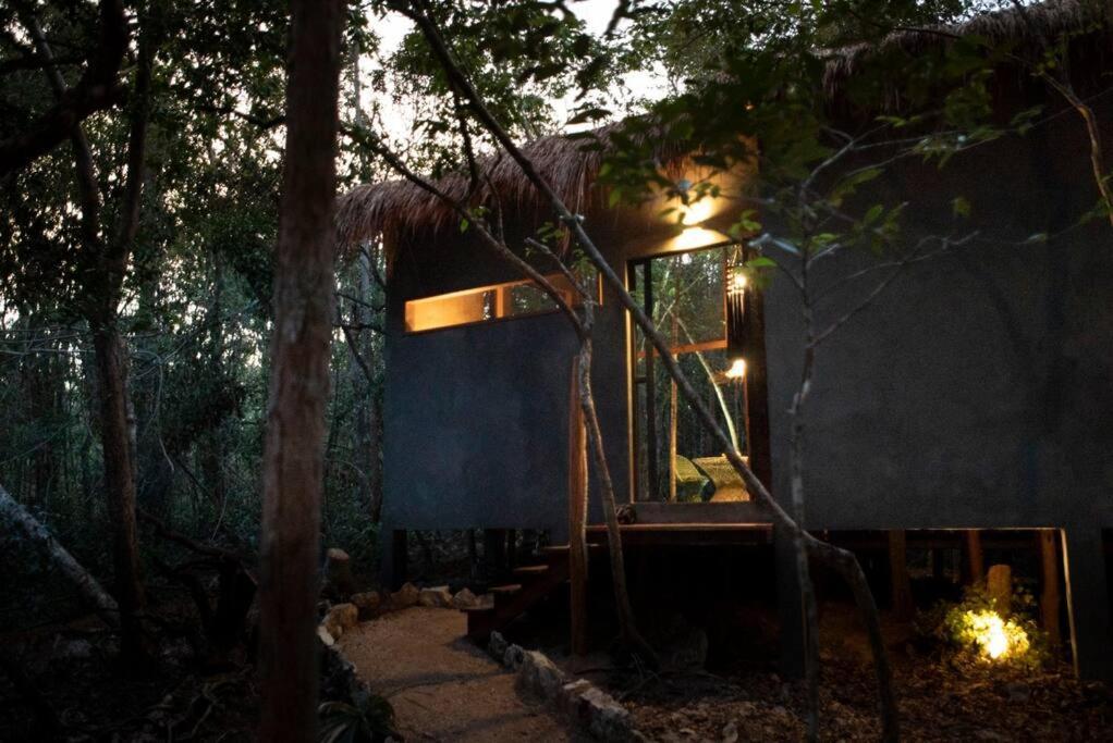 Ojo De Arbol, Boutique Cabin In The Real Jungle Tulum Zewnętrze zdjęcie