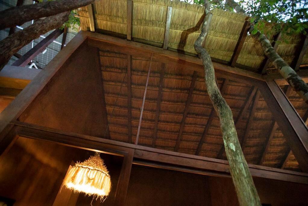 Ojo De Arbol, Boutique Cabin In The Real Jungle Tulum Zewnętrze zdjęcie